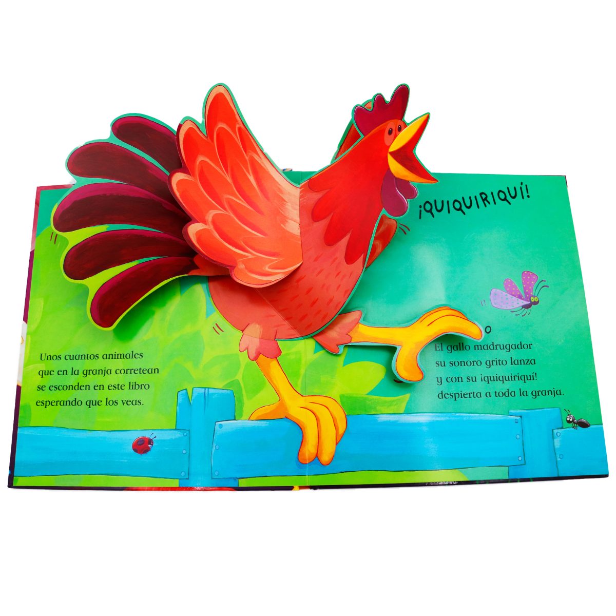 Detalle interior del libro pop-up LA Gallina Feliz de Combel, ideal para primeras edades, en Mimú bebés Jerez
