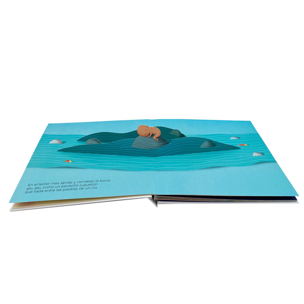 Interior desplegable del libro Baby Pop mostrando el desarrollo del bebé durante el embarazo